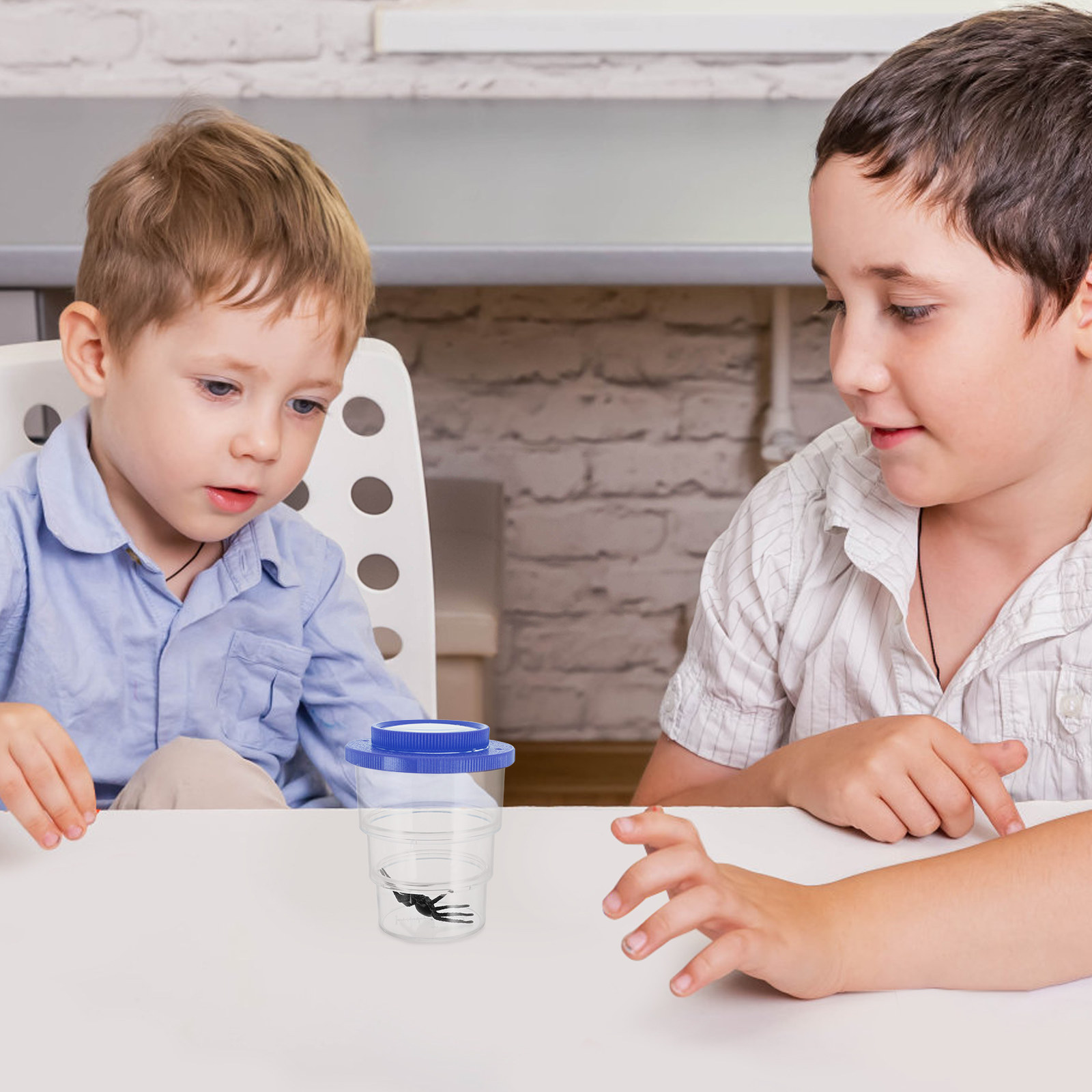 Three-Section Insect Observati - Science Toy ulasan dan harga