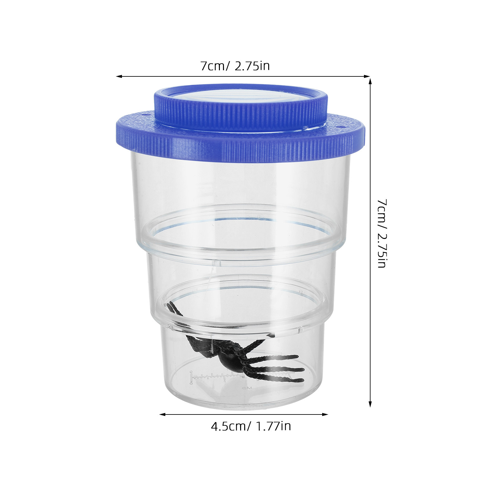 Three-Section Insect Observati - Science Toy ulasan dan harga