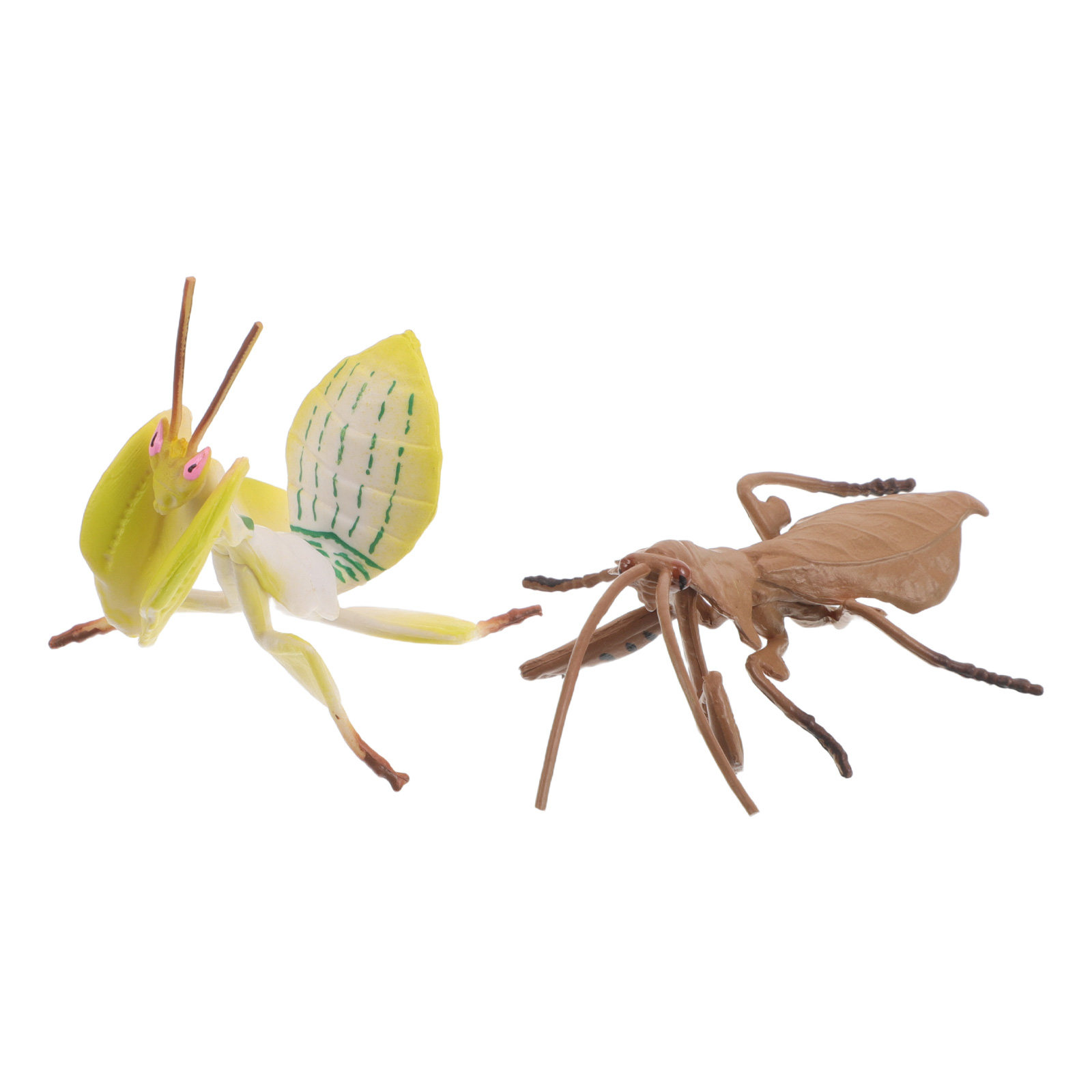 Realistic Praying Mantis Model - Science Toy ulasan dan harga