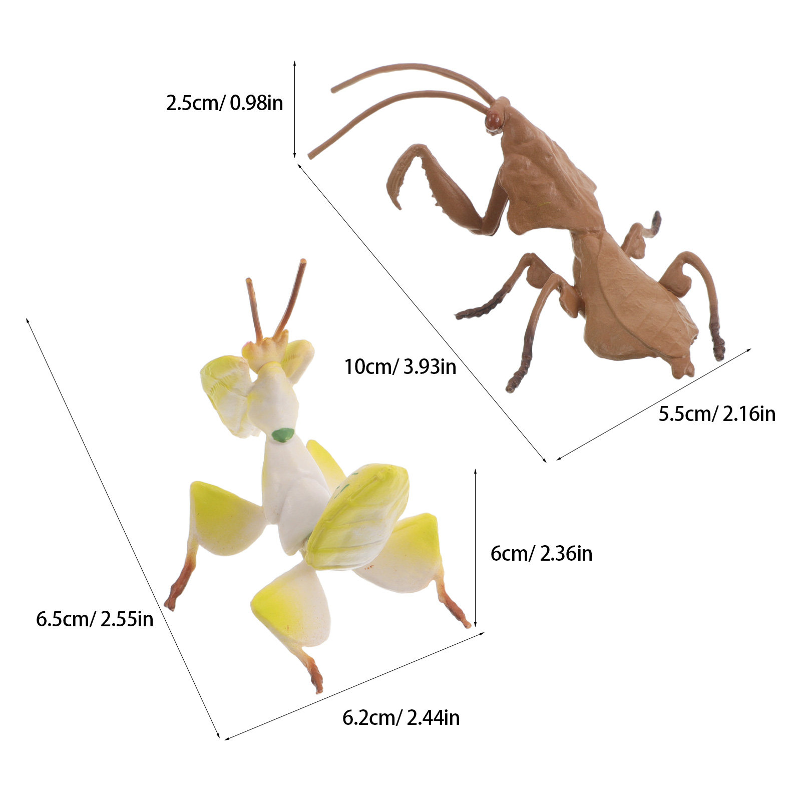 Realistic Praying Mantis Model - Science Toy ulasan dan harga