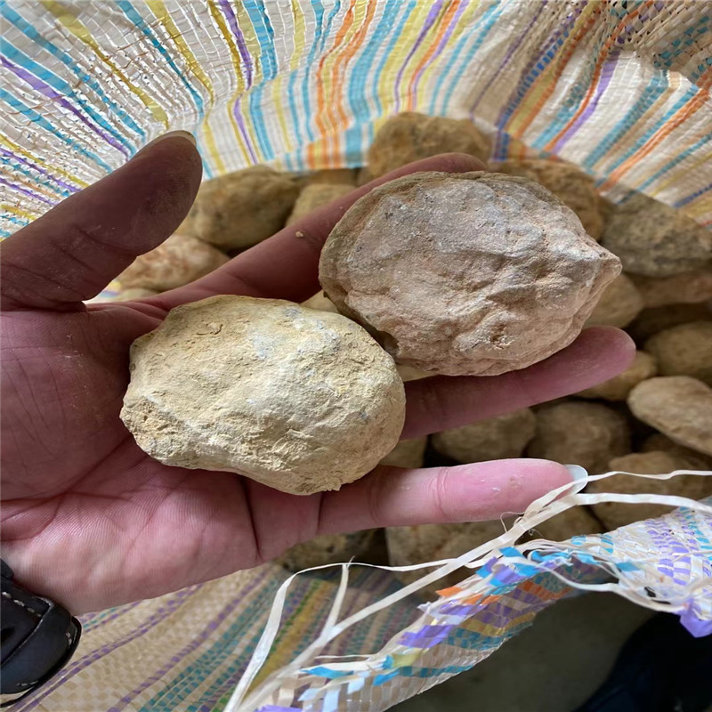 Break Your Own Geodes Natural  - Geode Crystal Break ulasan dan harga