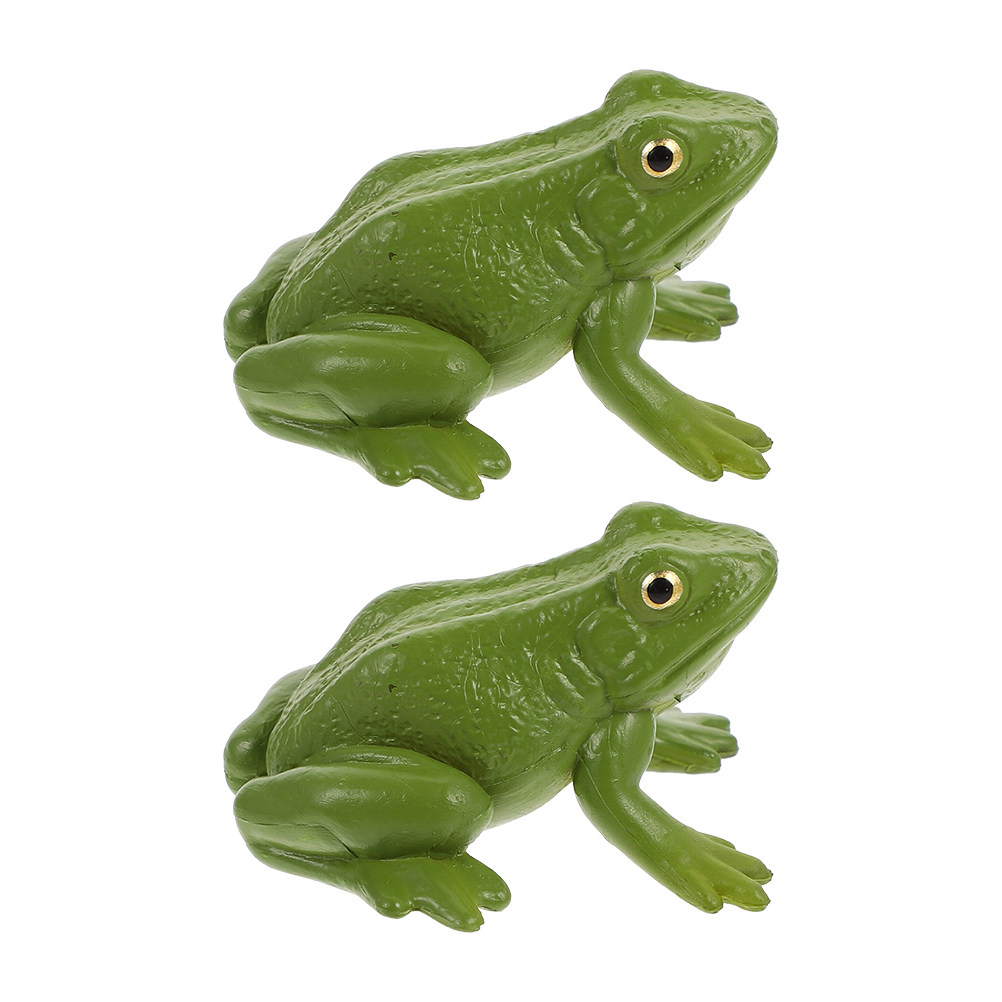 2Pcs Elegant Artistic Frogs Sc - Science Toy ulasan dan harga